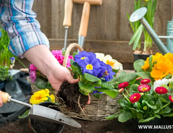 New Gen Fertilizers To Beautify The Garden