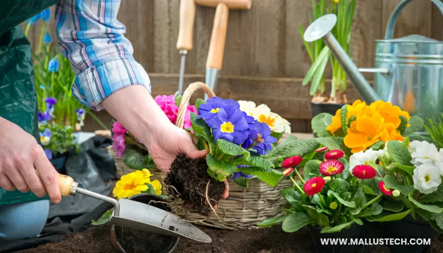 New Gen Fertilizers To Beautify The Garden